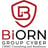 Biorn Group Cyber